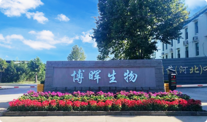 918博天堂生物制药（河北）有限公司